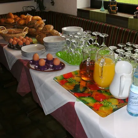 Hotel Tannenhof Erlenbach am Main