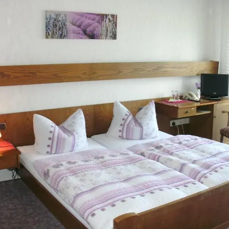 Tannenhof Hotel Erlenbach am Main