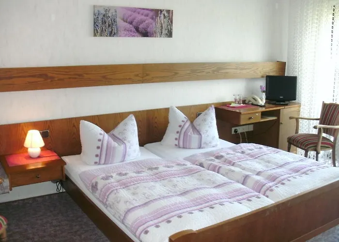 Tannenhof Hotel Erlenbach am Main